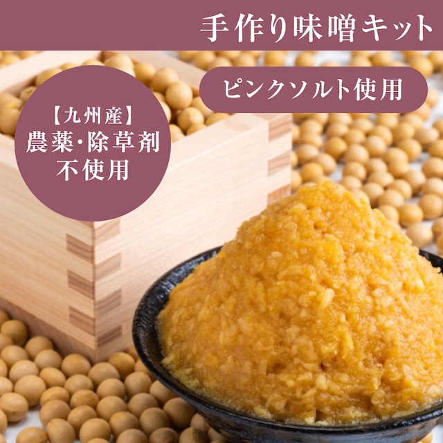 【太古のヒマラヤピンク岩塩使用】簡単！味噌キット　送料無料