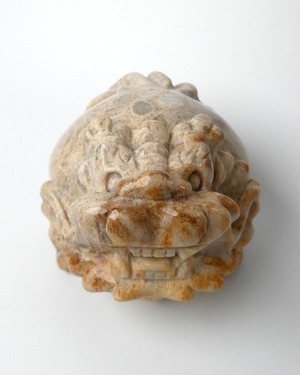 Fossil Coral フォッシルコーラル ⭓ 海のトラちゃん ⭔ ORIGINAL 龍亀