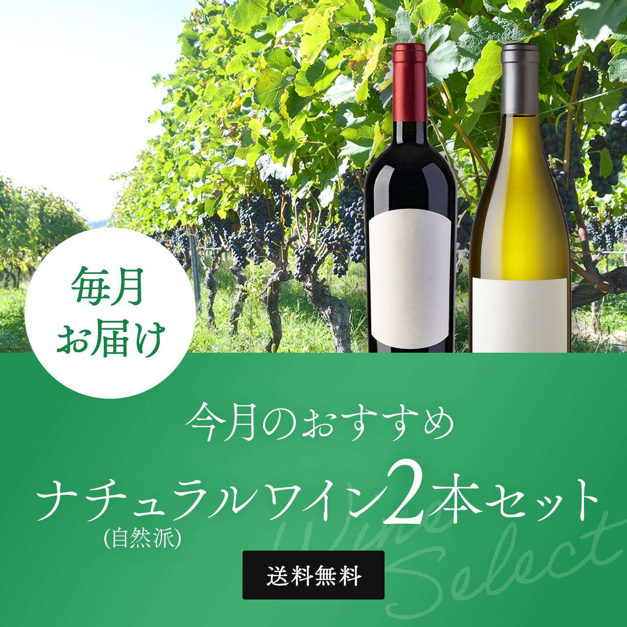 （毎月お届け）こだわりナチュラル（自然派）ワイン 2本セット