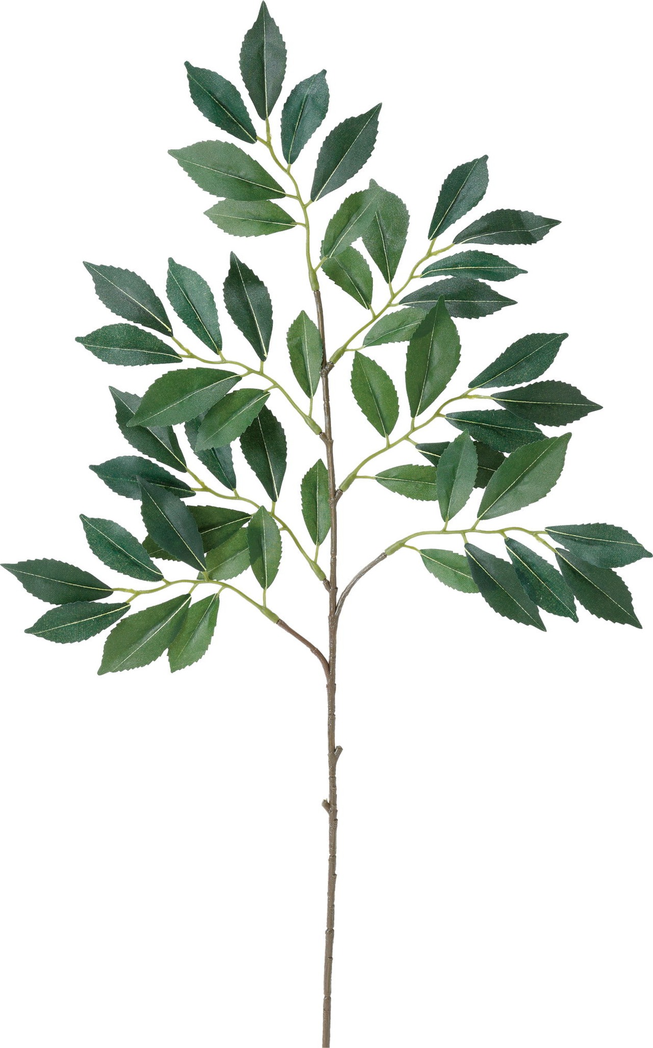 シバ　　FG-4900GR　4961823682063　造花（アーティフィシャルフラワー） > 定番造花グリーン（素材）