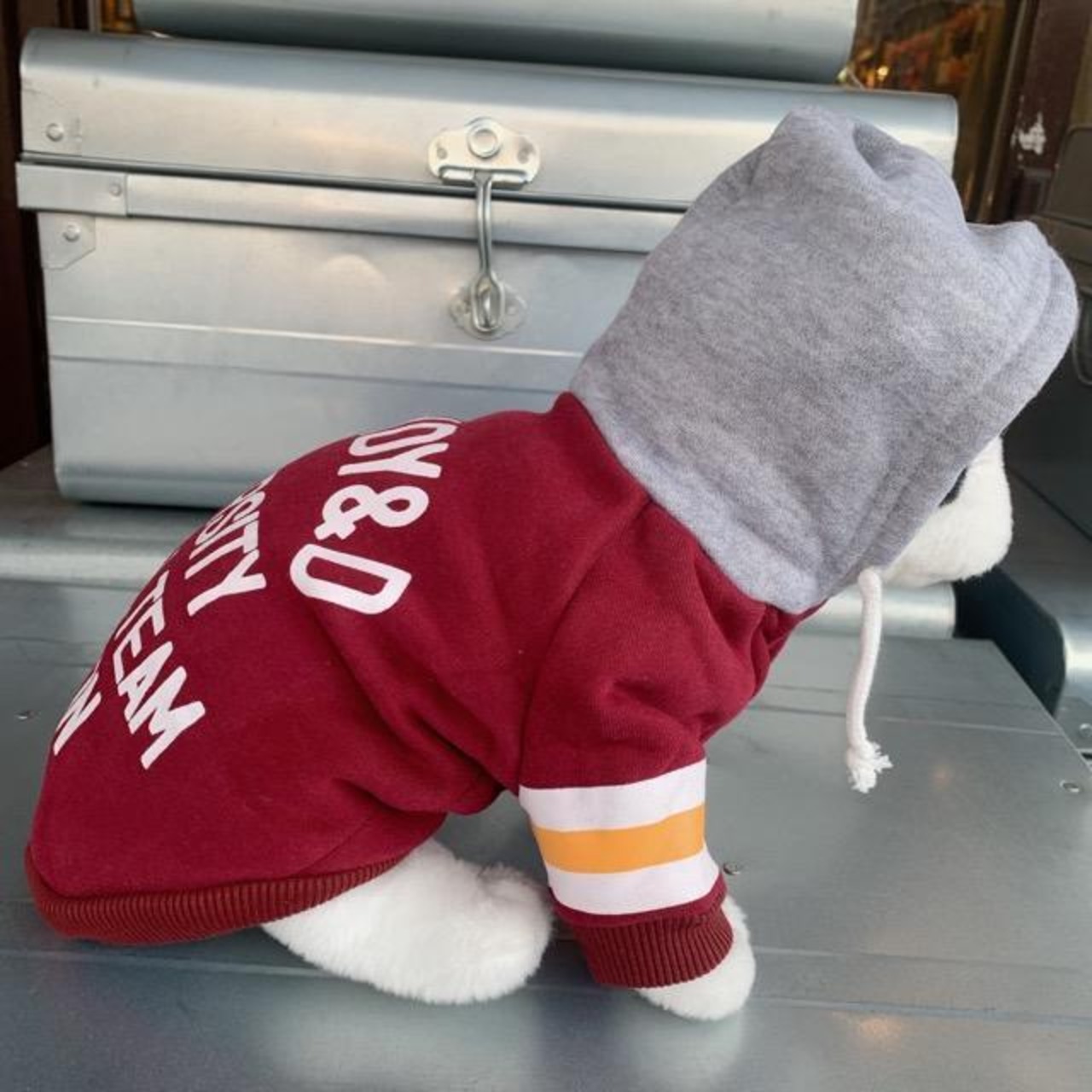 DOG WEAR　フードパーカー　GRANDY&D　XXL,FBサイズ