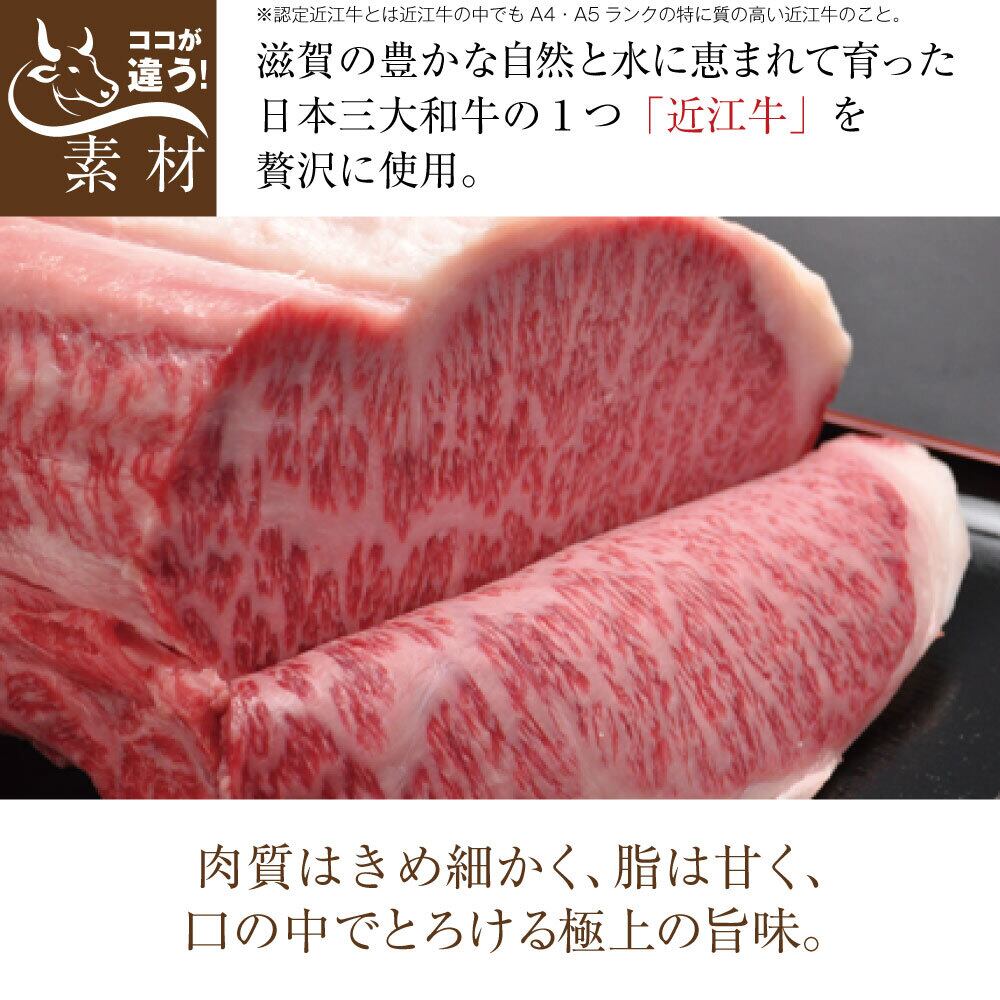 ☆10個セット☆ 近江牛ブレンド 粗挽きハンバーグ オリジナルソース