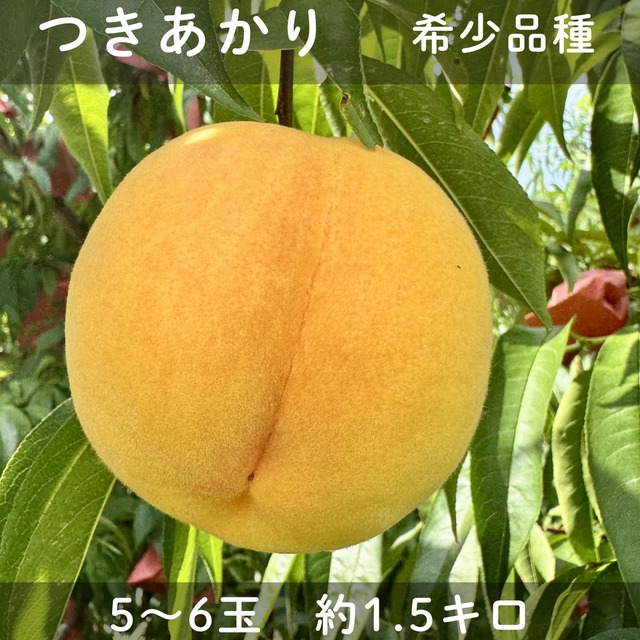 bcb9c6c483d49bdf96bd1b8eb6a2b9 bcb9c6c483d49bdf96bd1b8eb6a2b9