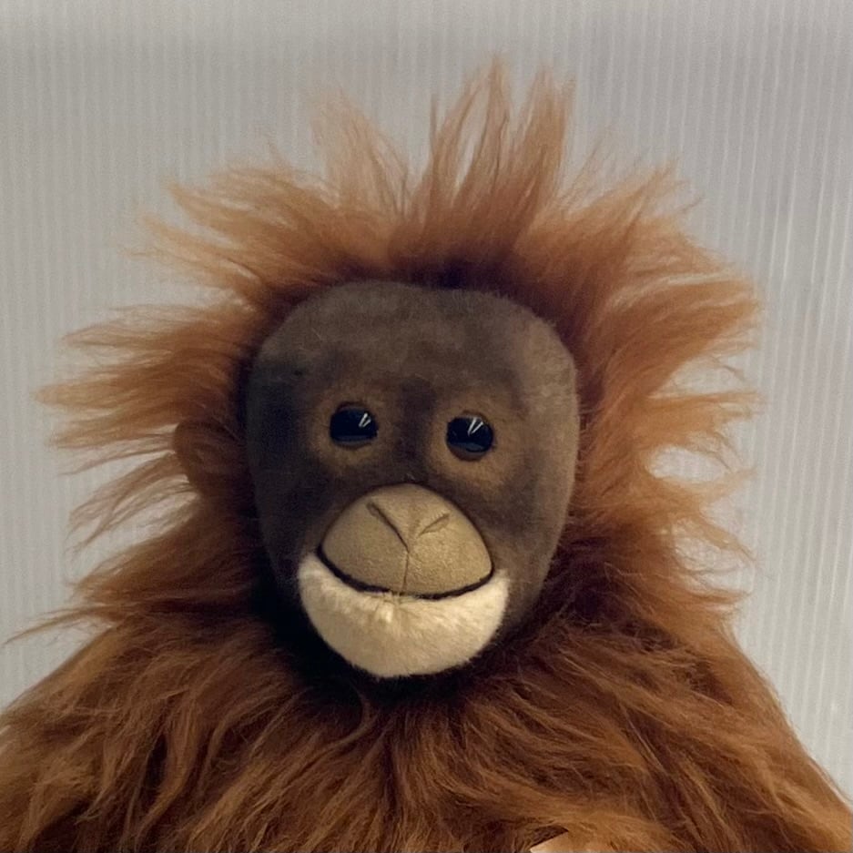 KOSENケーセン社 / オランウータン | wg-anne