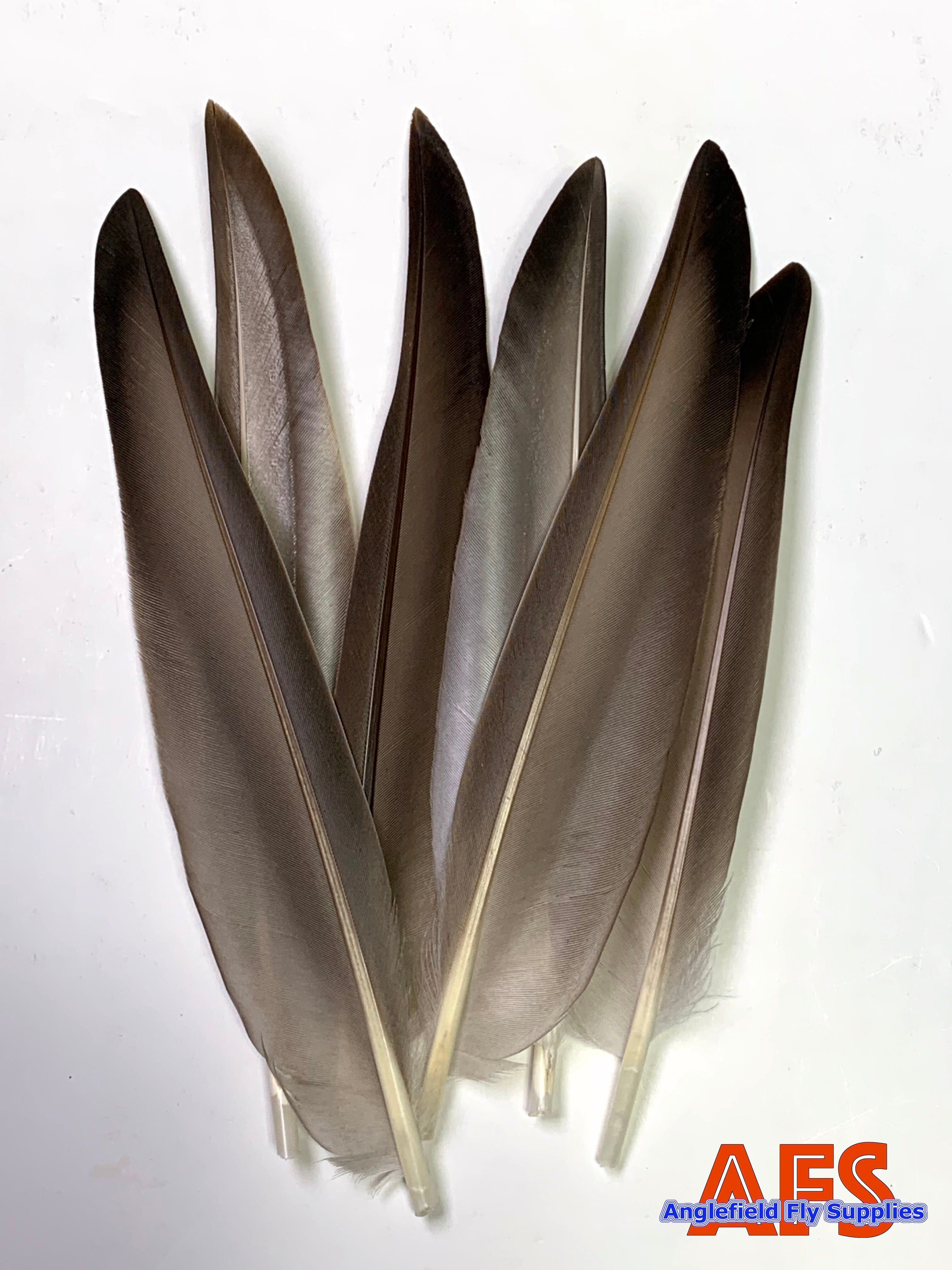 Mallard | Anglefield Fly Supplies