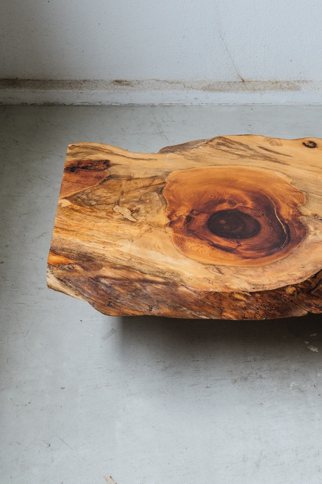 黒松（Black Pine）