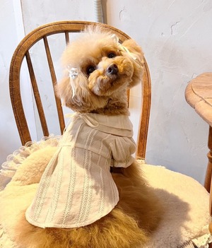 即納販売　Classic puff　Blouse （Ivory ）　ブラウス　　 韓国犬服 soso boutique