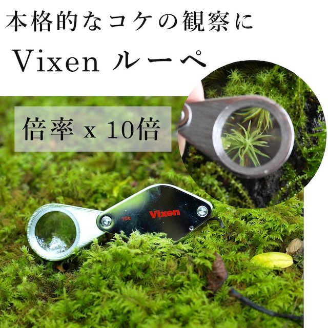 【コケ観察用】Vixen　メタルフォルダー　ルーペ　１０倍