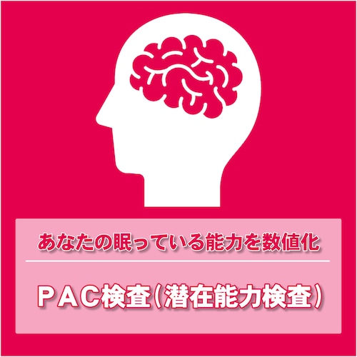 PAC検査(潜在能力検査)