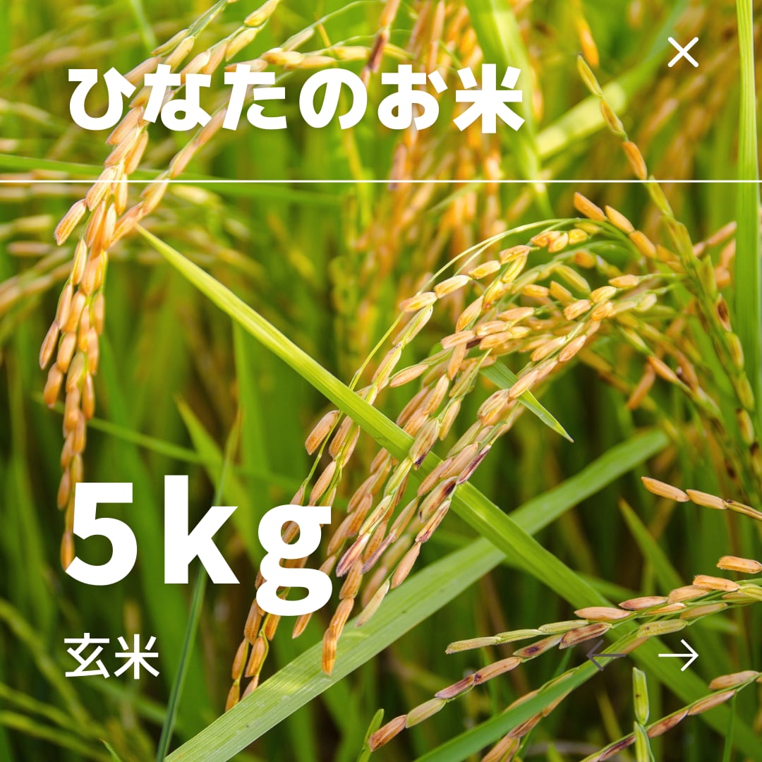 ひなたのお米 玄米 5kg
