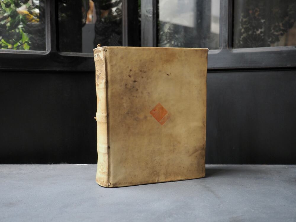 フランスアンティーク　羊皮紙表装の古書　2 vieux livre 古書 | antique Salon
