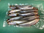 【2週間の奇跡】宝鰯/たからいわし/体脂肪質20～30％/小羽10匹/330~400g【冷凍】