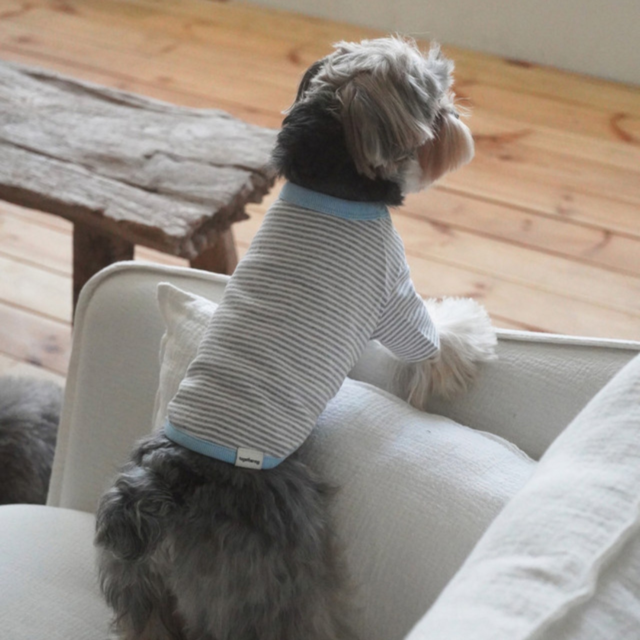 【予約】[ togethering ] Pencil Striped T-Shirt｜Grey - 9