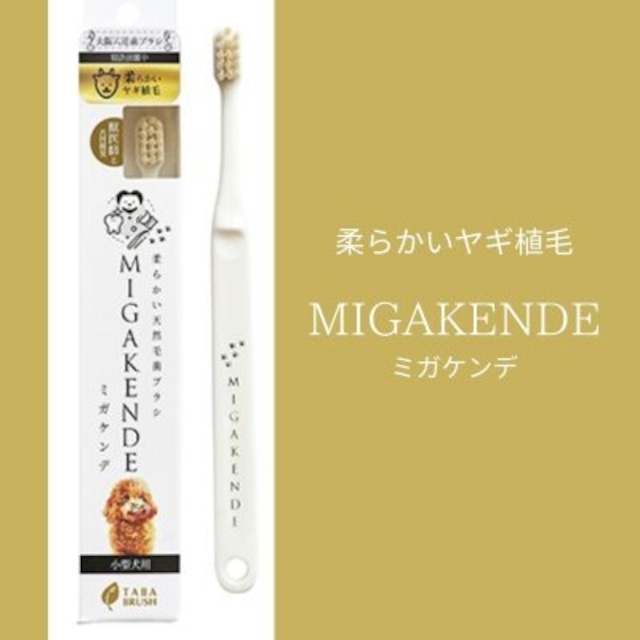 ミガケンデ MIGAKENDE ヤギの毛