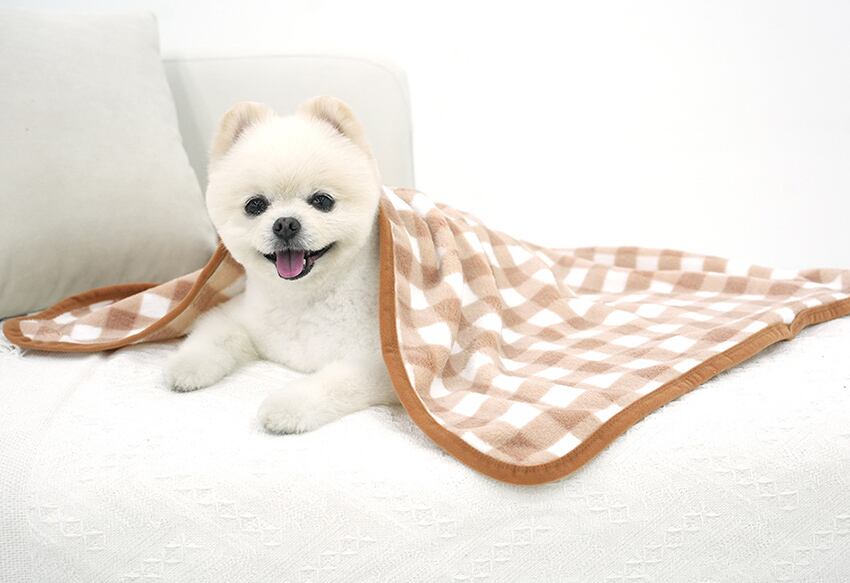 Tasumi Blanket L size / 毛布 ペット用品 ぽかぽか ふわふわ 防寒 ボア ブランケット 寒さ対策 暖かい  ペット 冬 外出用品 小型犬 中型犬