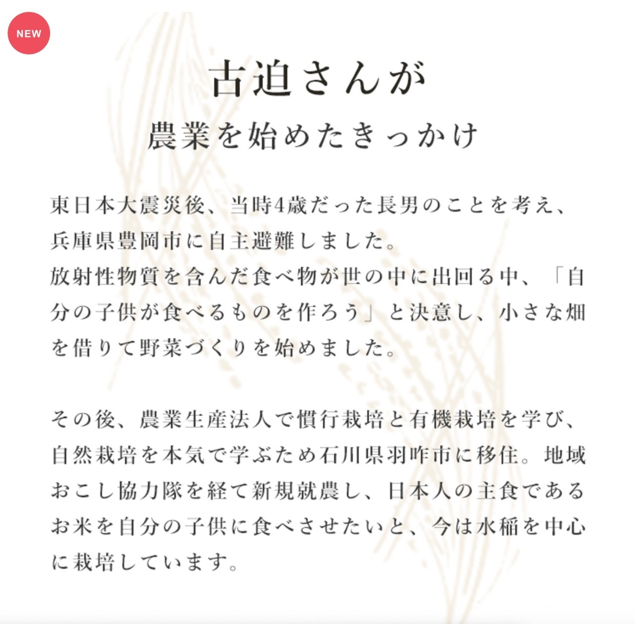 定期便5kg  石川県産「はたはったん」