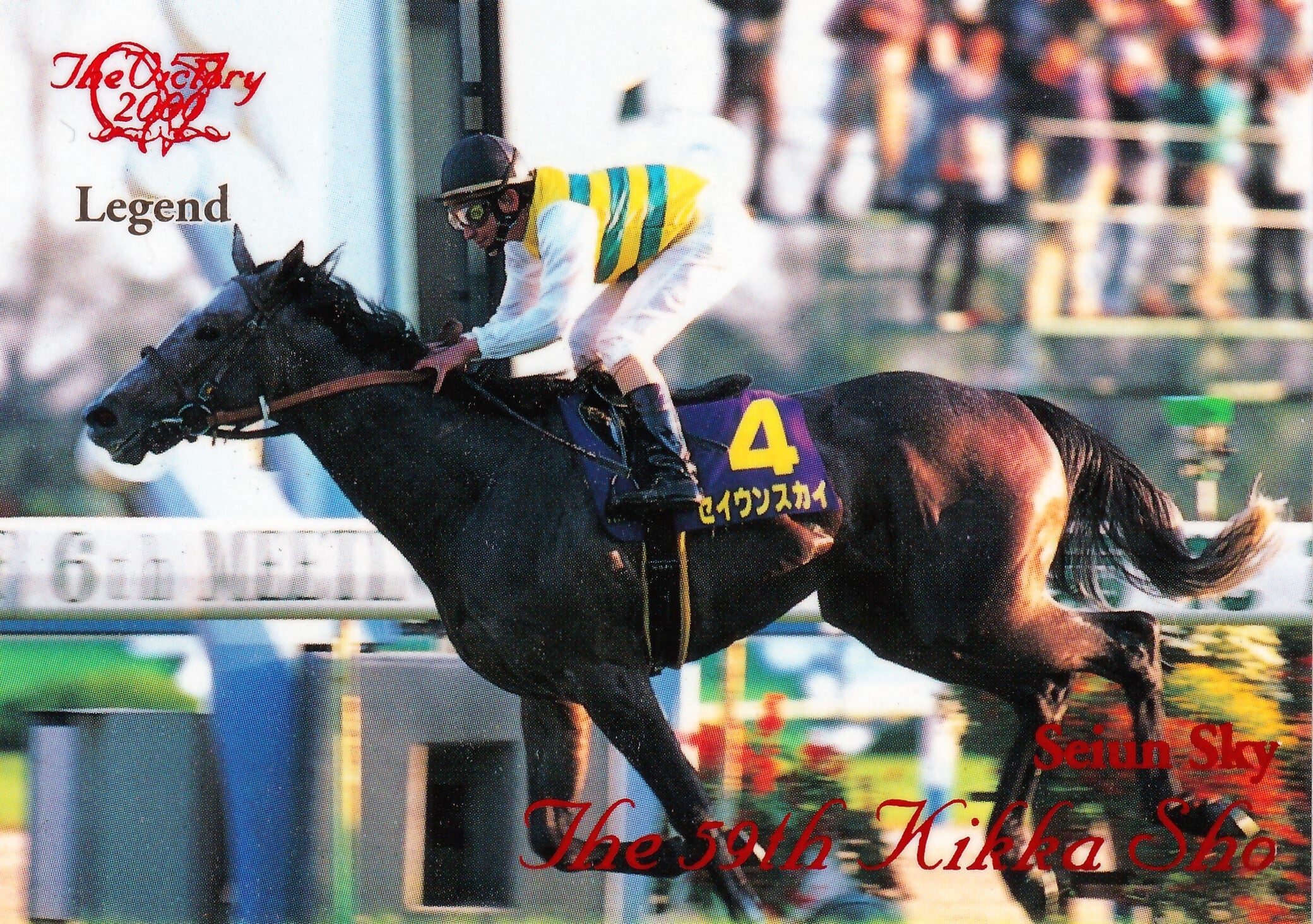 セイウンスカイ：第59回菊花賞(CHECK LIST)「The Victory 2000」CL-06