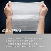 FSX 使い捨て 紙おしぼり SILKY シルキー Lサイズ ブラウン 100本 抗ウイルス 抗菌 平型 大判 厚手 業務用 個包装