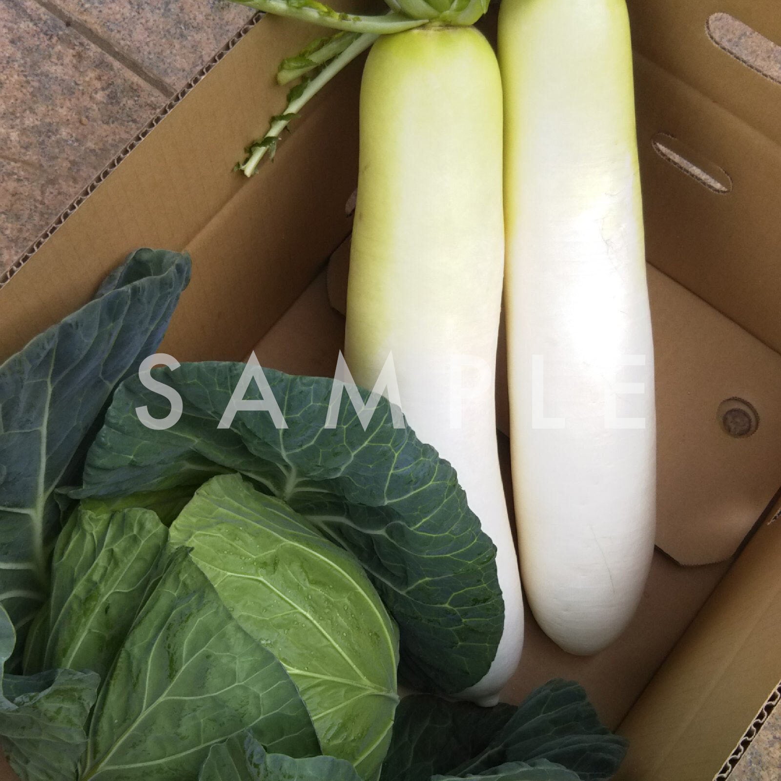 採りたて野菜盛り合わせ10kg | でぶっちょおやじの田舎野農園｜野菜販売
