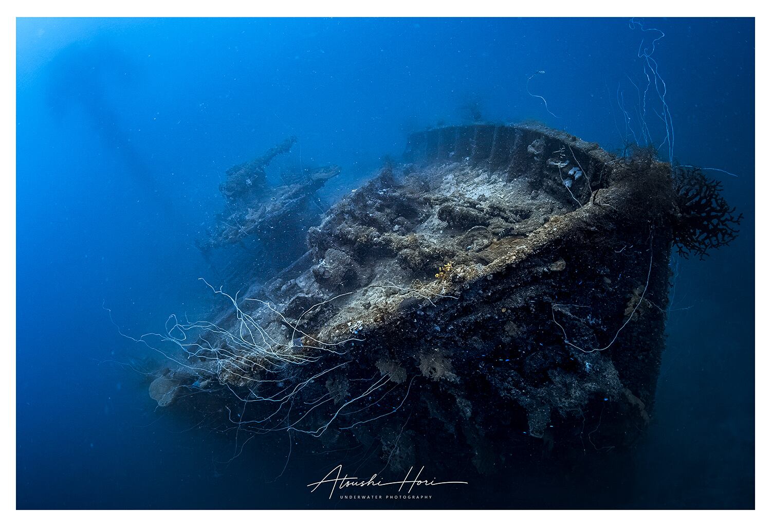 桑港丸 / San Francisco Maru