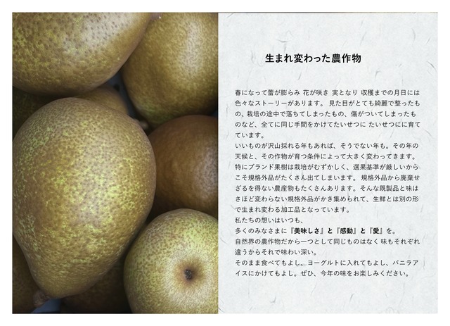 【青森県南部町特産品】ゼネラル・レクラークの飲むゼリー　10個入り