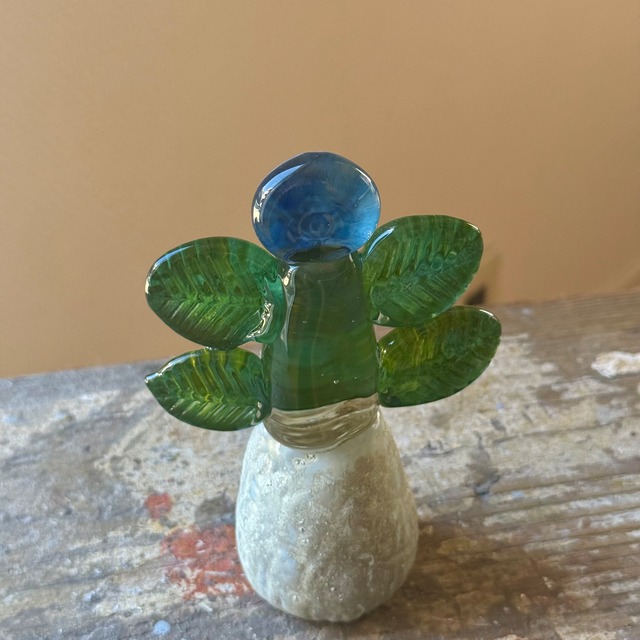 常盤 杏奈 glass plant-8