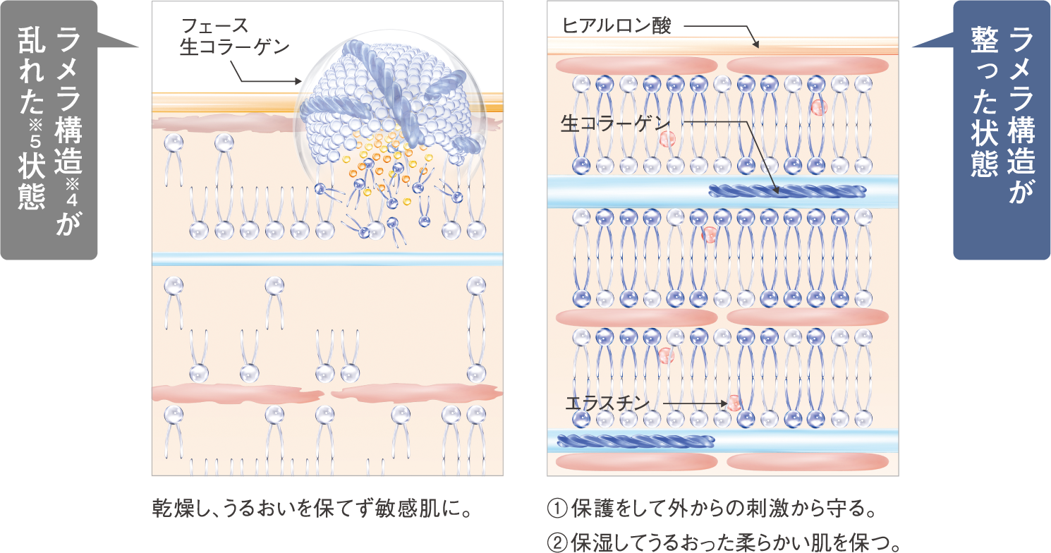 FAITH ラメラモード バランシング ローション 化粧水 120ml フェース