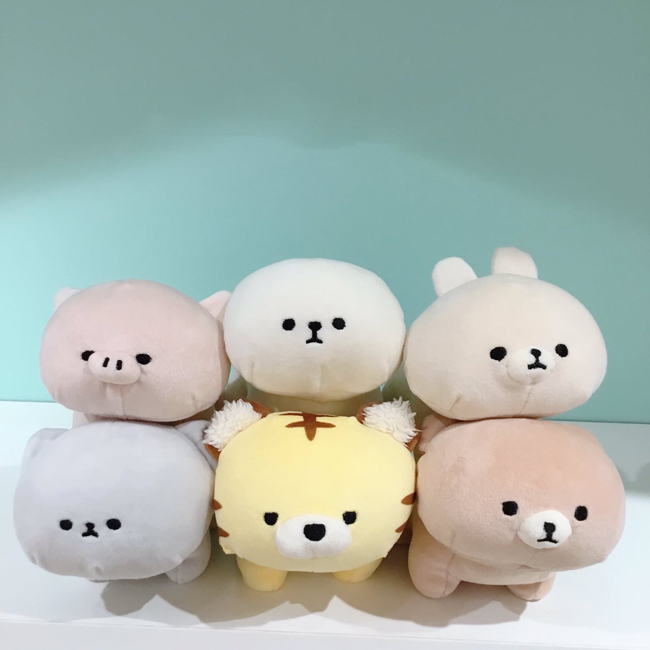 mof】テノリマスコット ビションフリーゼ /TM111-1 | ACCENT STORE