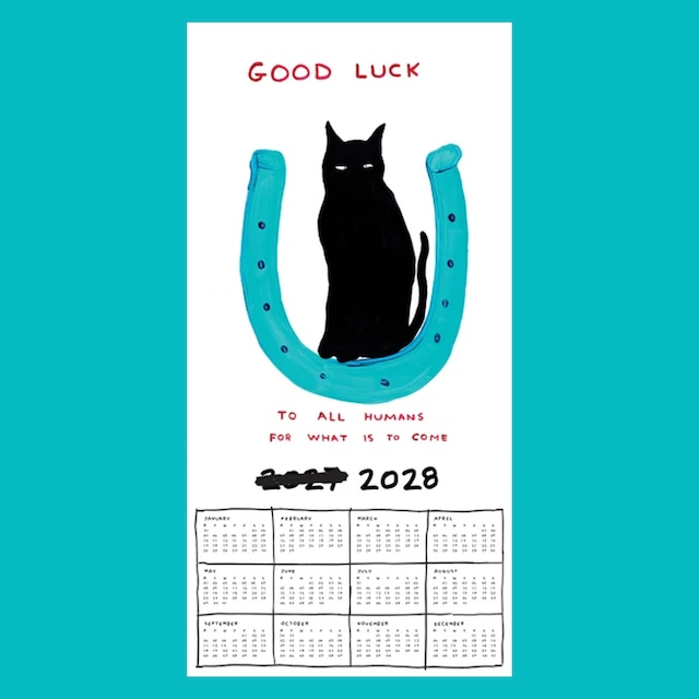 〈予約中〉DAVID SHRIGLEY：2027 WALL CALENDAR