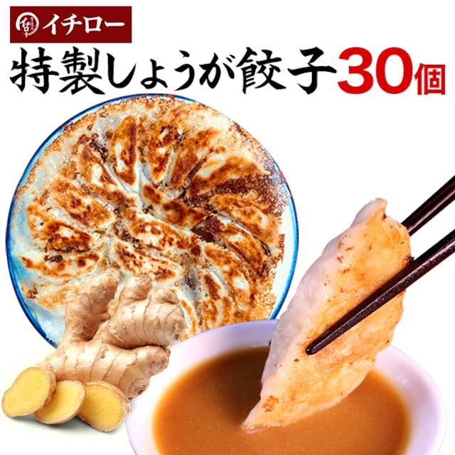 特製しょうが餃子30個（味噌だれ付）