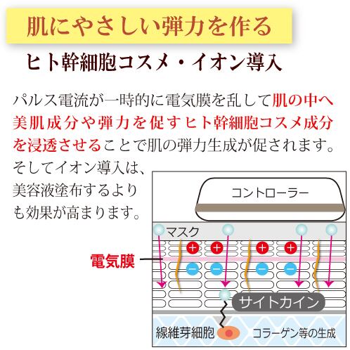 セラムビーナスカレント【美容液＆シートマスク】 | unoashop