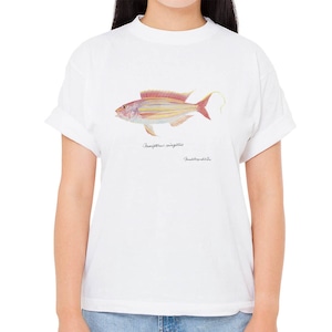 【イトヨリダイ】長嶋祐成コレクション 魚の譜Tシャツ（高解像・昇華プリント）