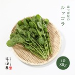 ルッコラ／1袋80g
