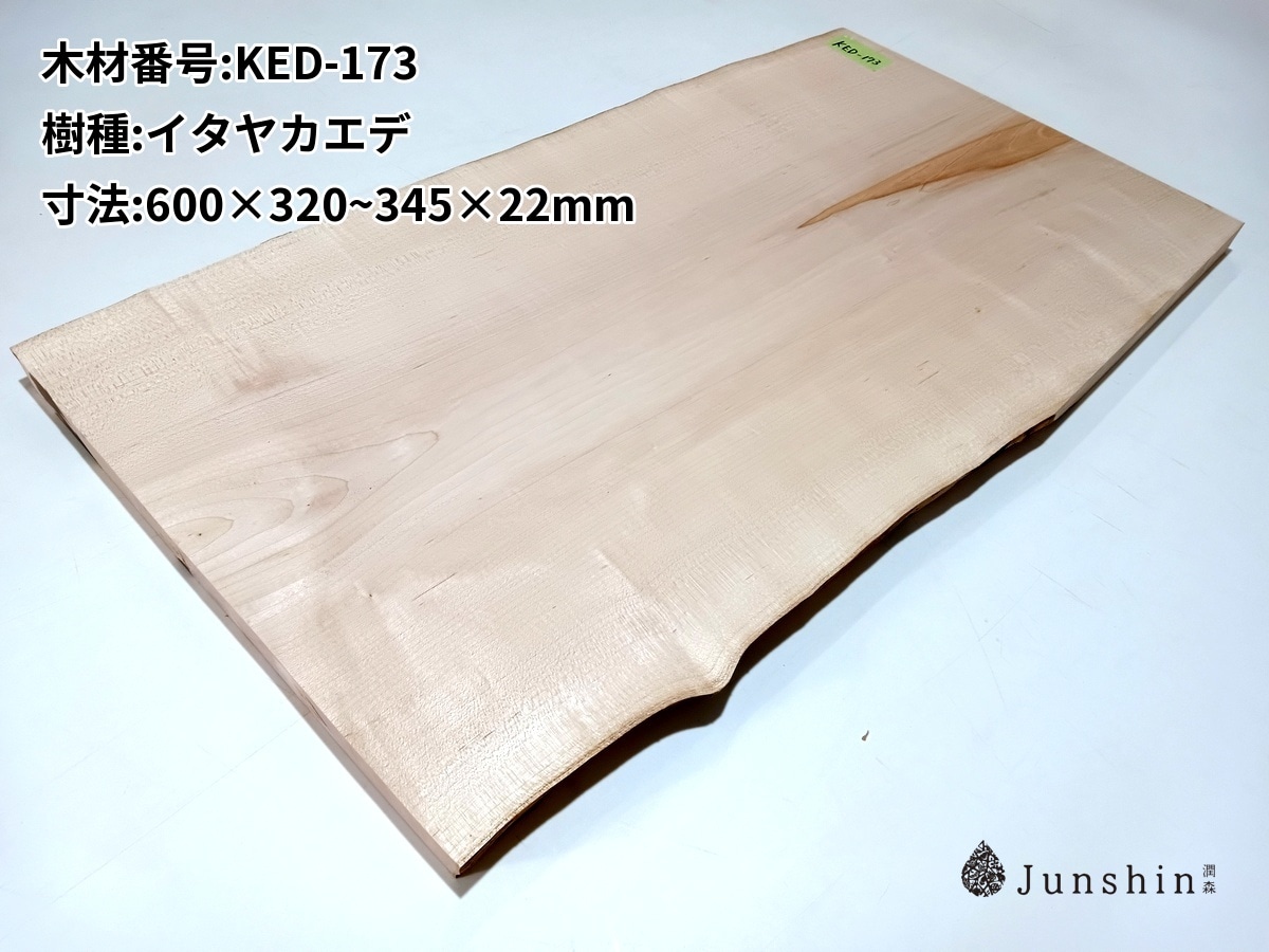 KED-173