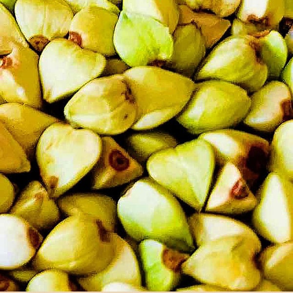 anhi 様 専用】そばの実 19kg 生産農家直送 【公式通販】