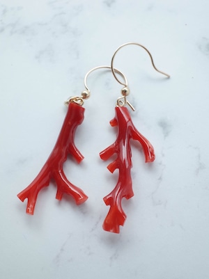 Red Coral Earrings - 4