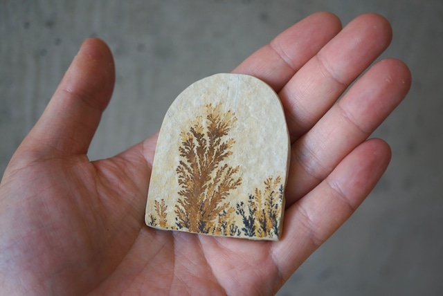 デンドライト 忍石 Dendritic limestone 1311