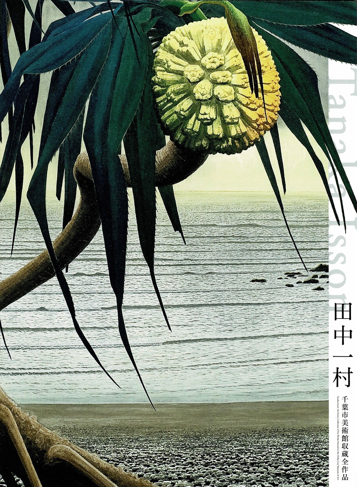 完売】図録｜田中一村 千葉市美術館収蔵全作品 | 千葉市美術館 