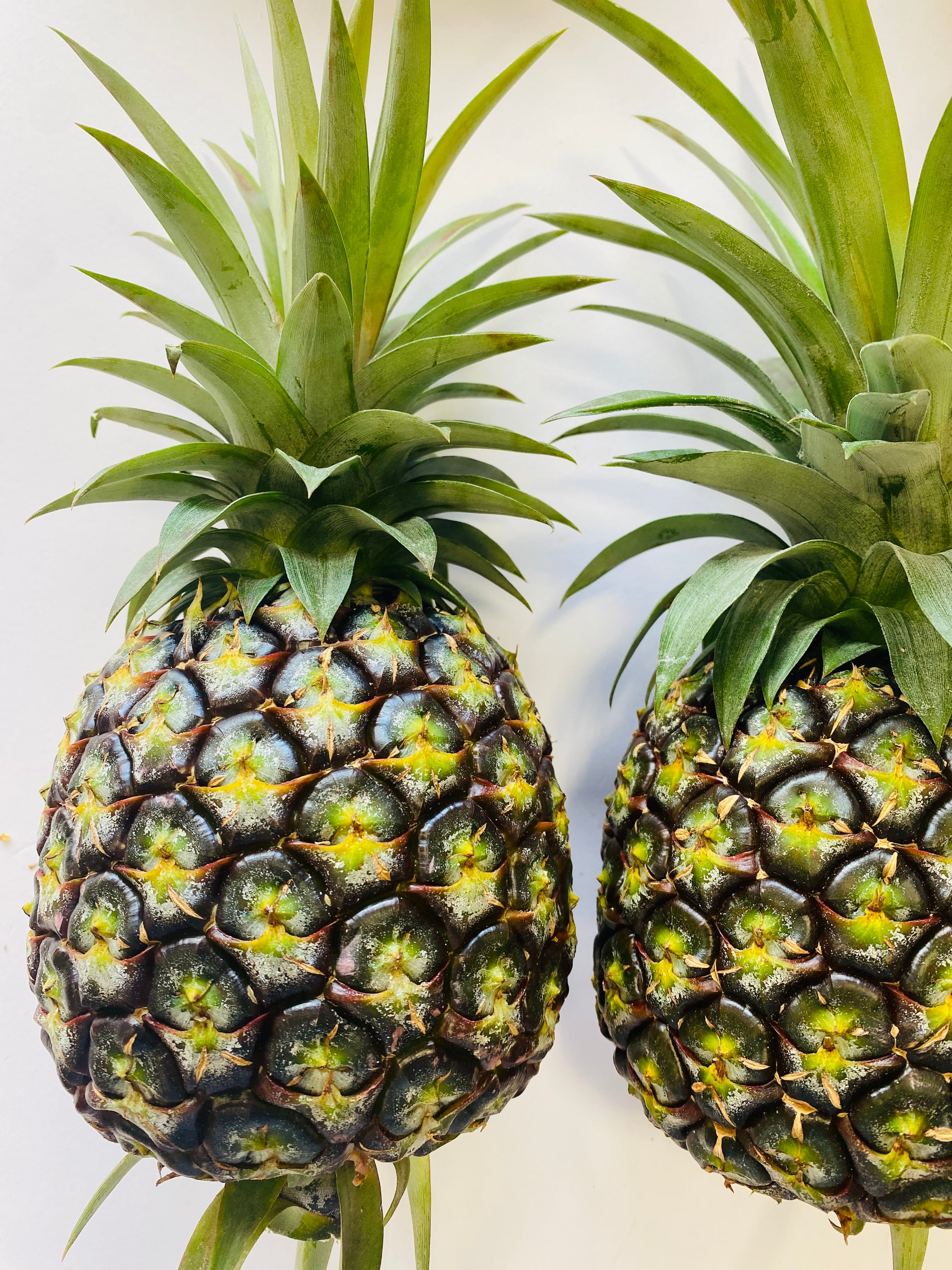 沖縄県産　パイナップル　ゴールドバレル２玉入り