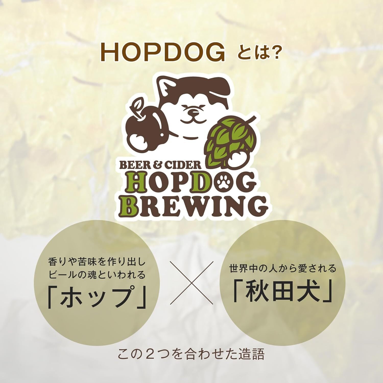 秋田】クラフトビール・ハードサイダー 詰め合わせ トライアル（お試し