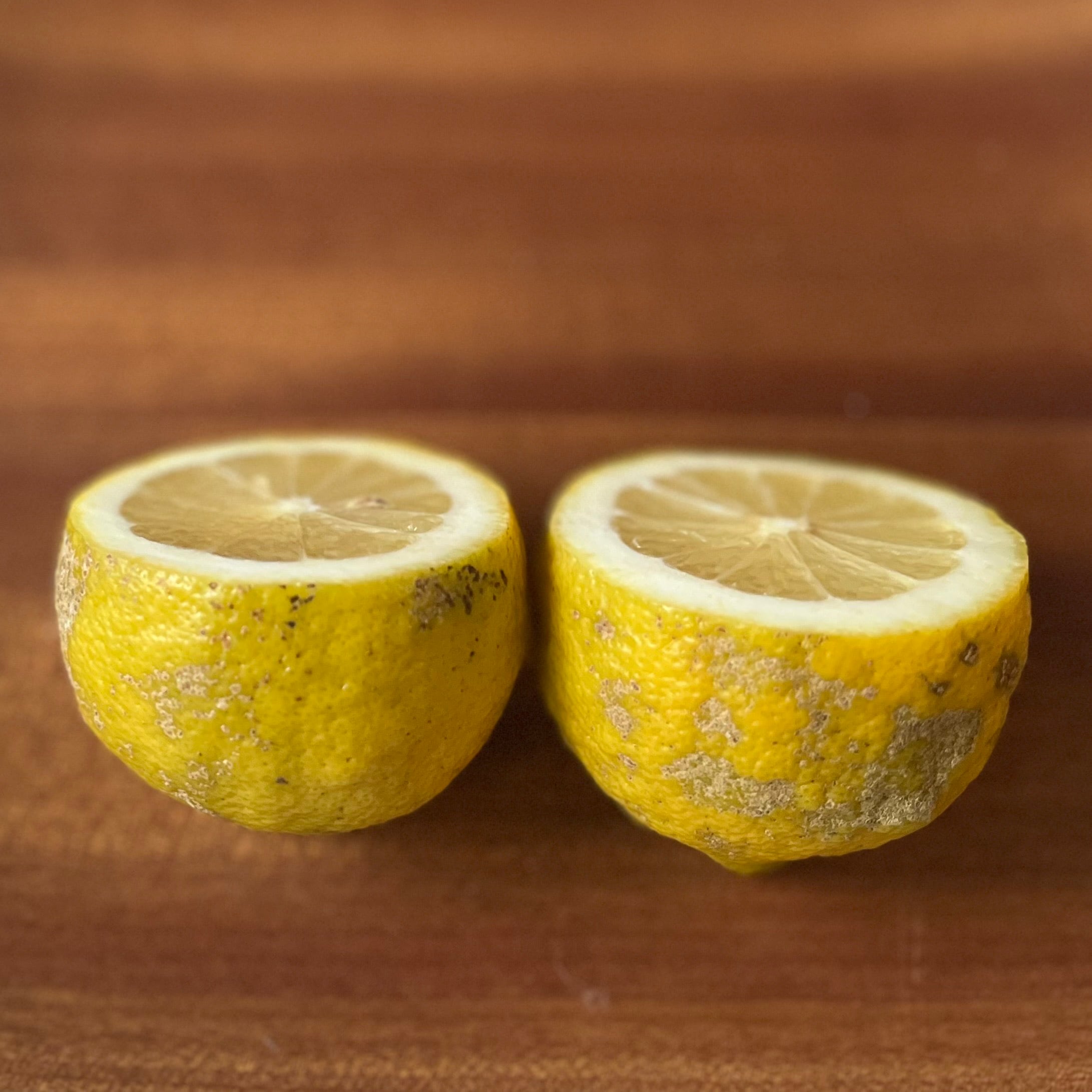 サスティナブル・丹波檸檬 1.5kg : 丹波市産 丹波檸檬{山麓のレモン} 品種:おまかせ