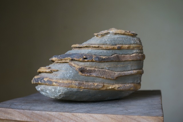 グランドキャニオン産堆積岩