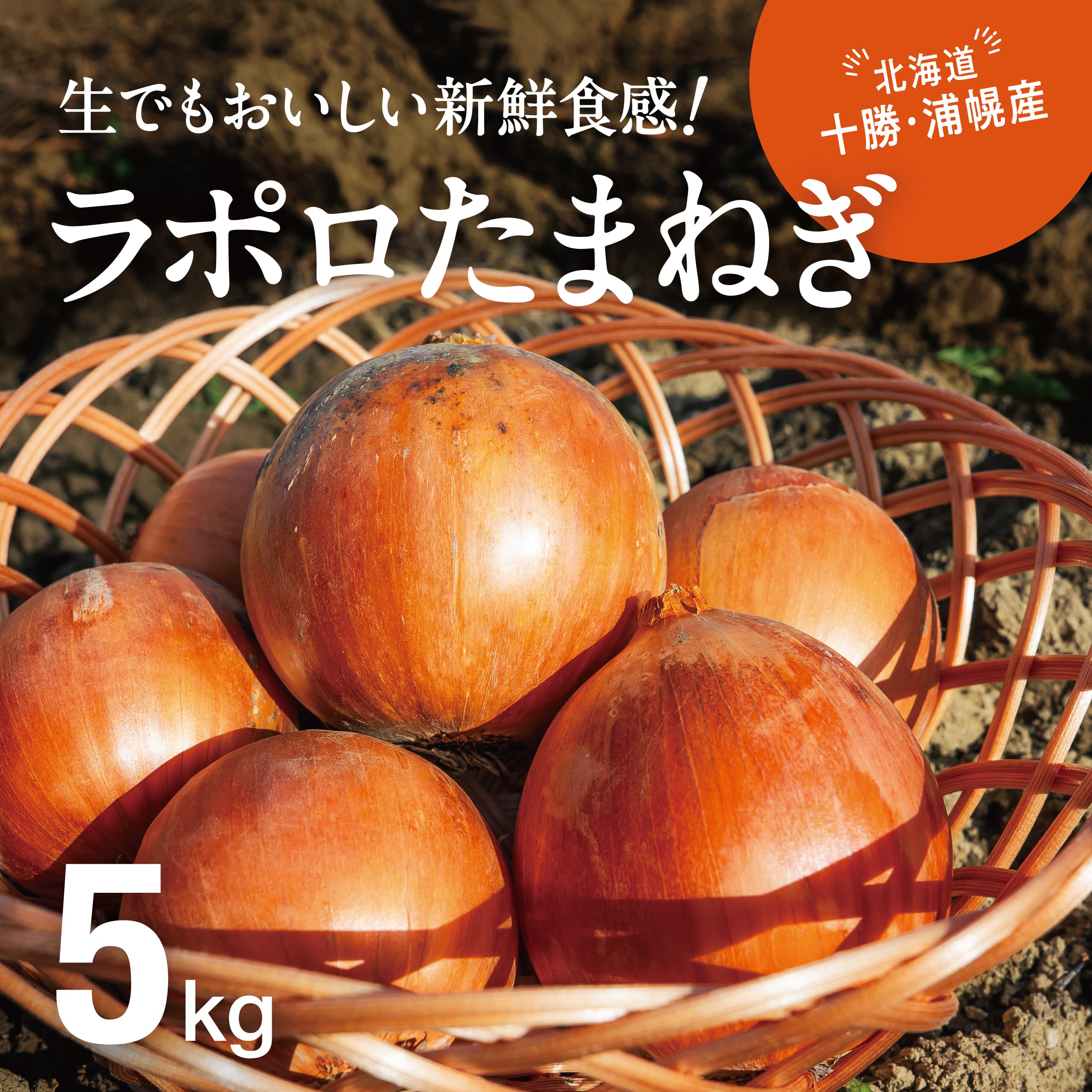 ラポロたまねぎ(5kg)北海道十勝・浦幌産