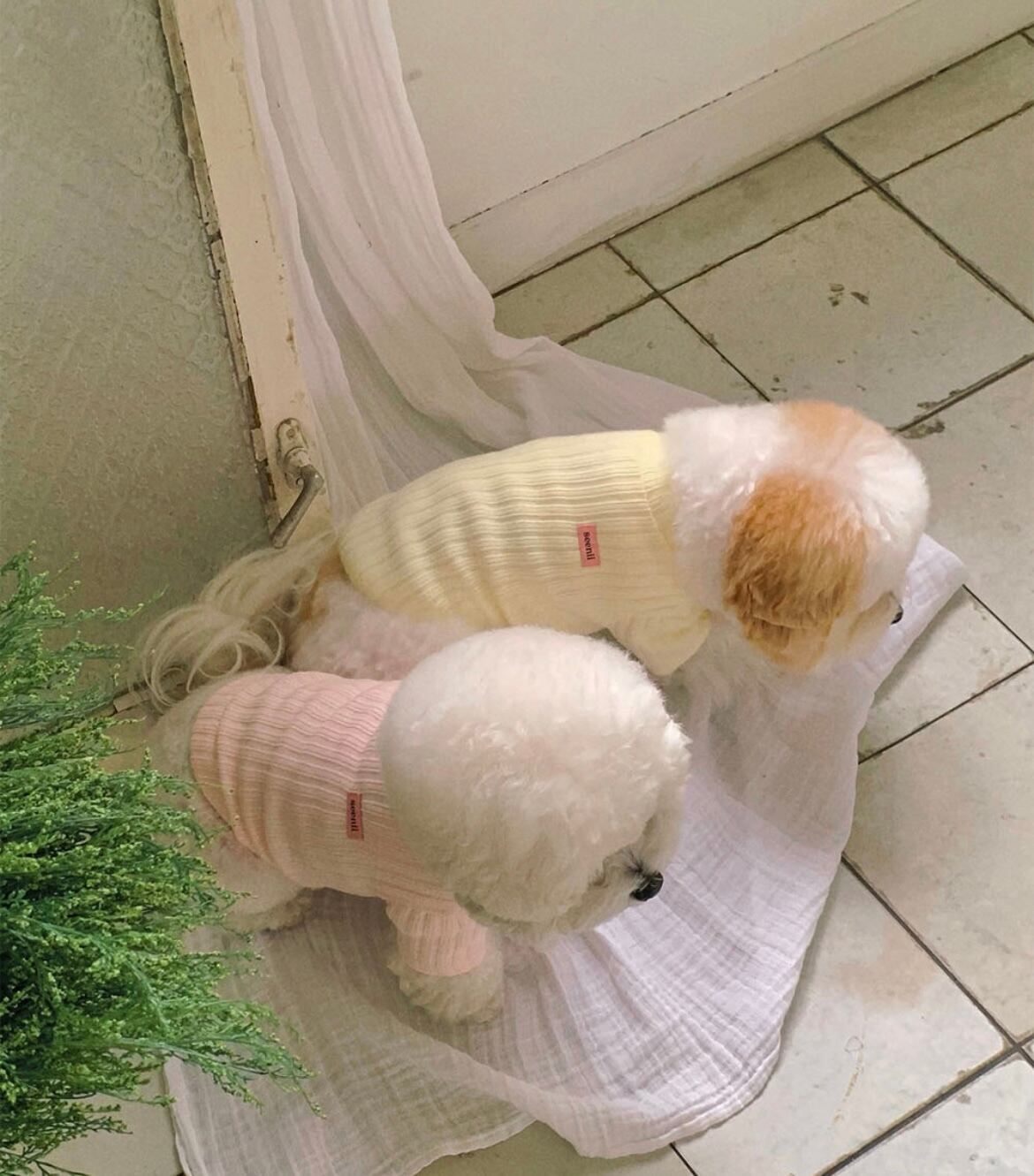 【seenii】slow knit top (pink)