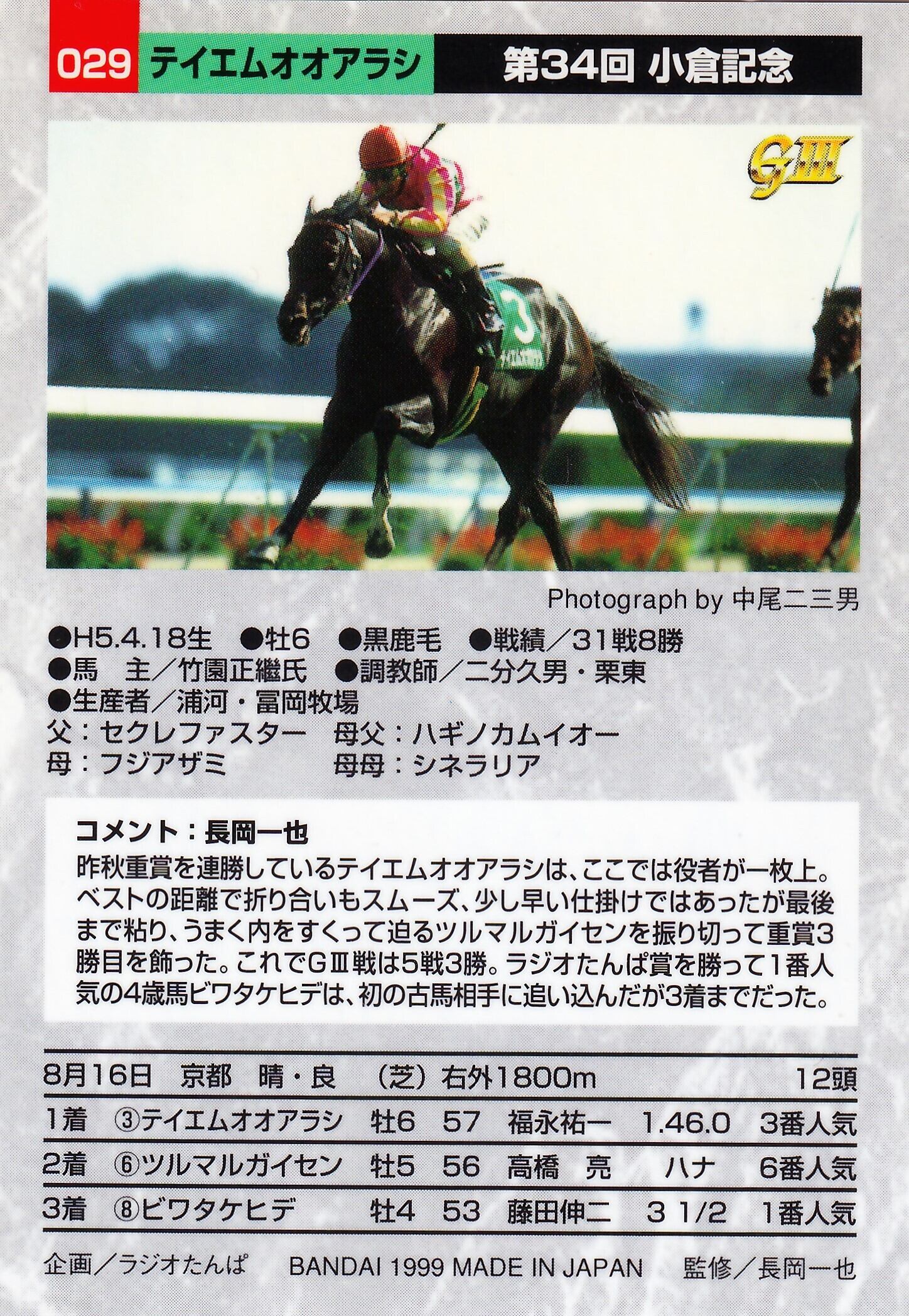 テイエムオオアラシ：第34回 小倉記念「サラブレッドカード 98年下半期