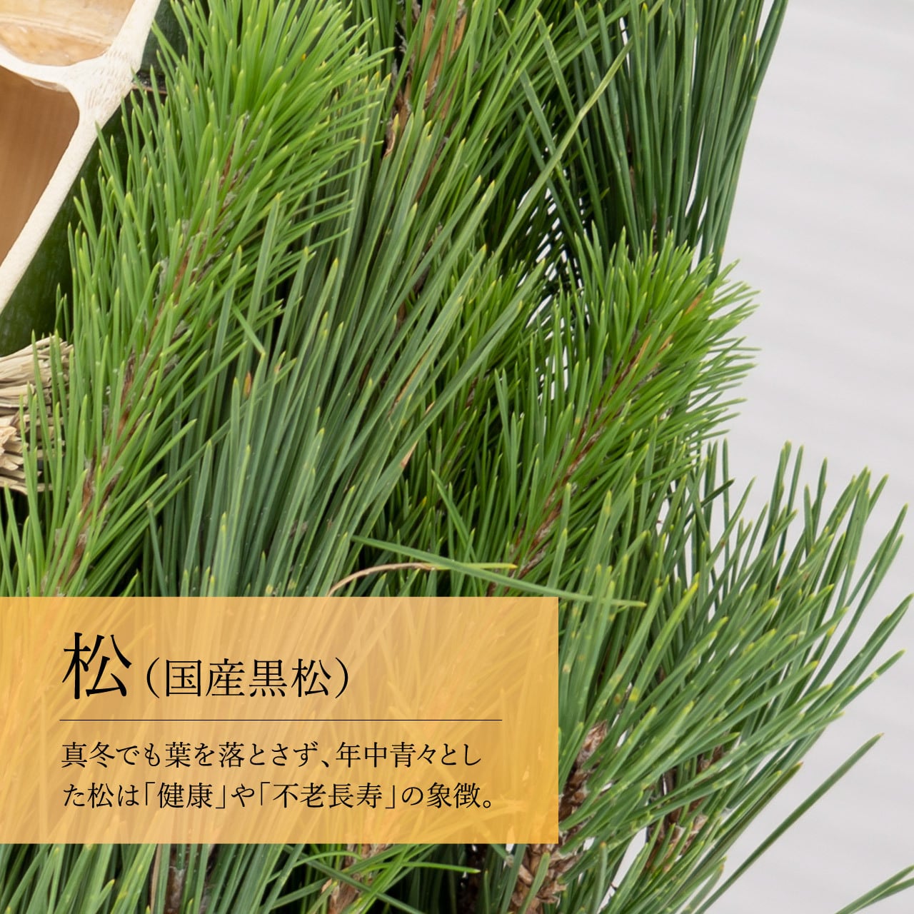 笑い竹若松仕上げ門松 120cm（一対） | 門松専門店 えびす屋