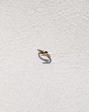 【labyrinthvintage】　Snake-eye of stone-ring