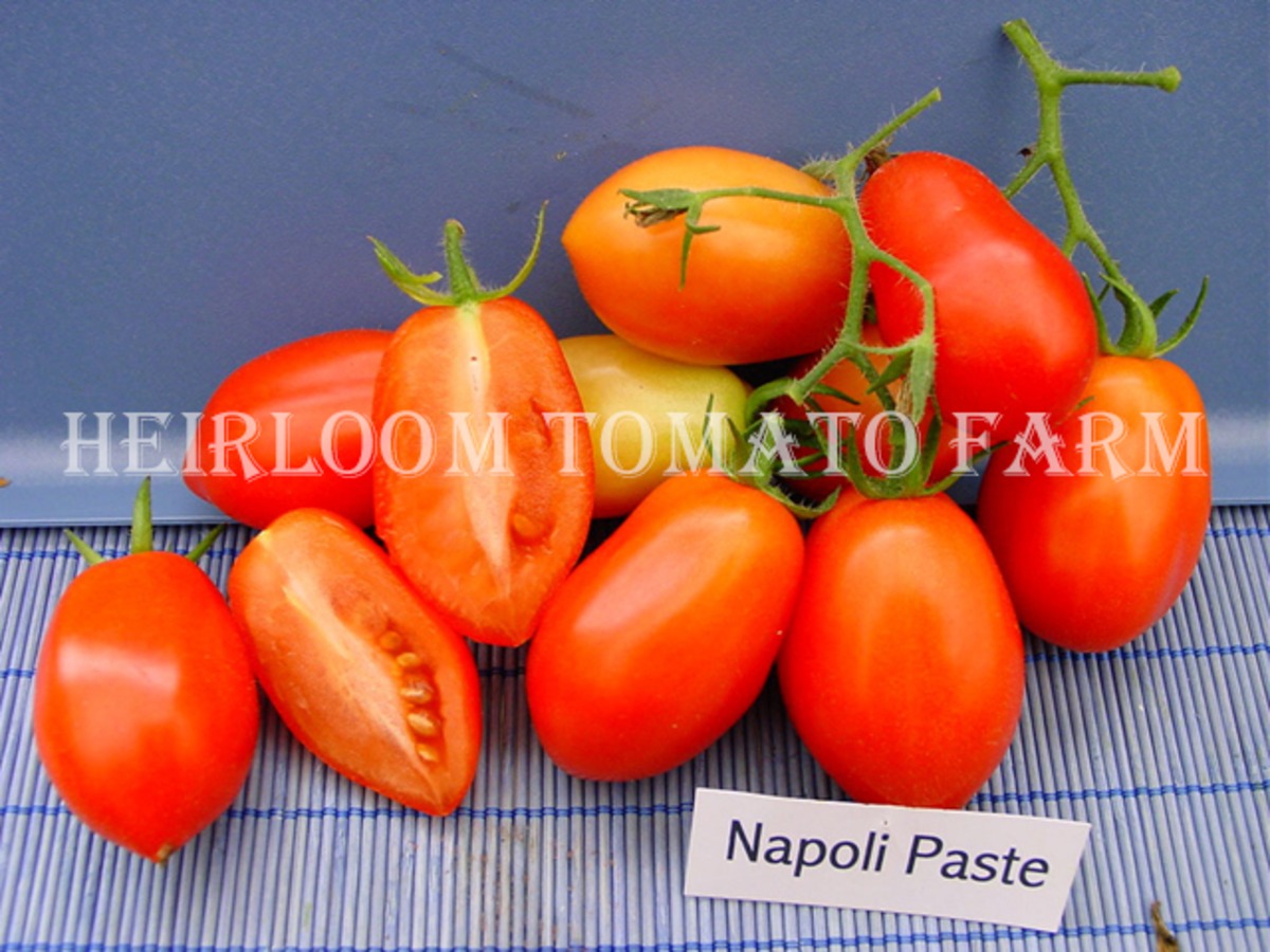 Heirloom Tomato® Napoli Paste エアルーム・トマト・ナポリ・ペイスト Heirloom Tomato Farm