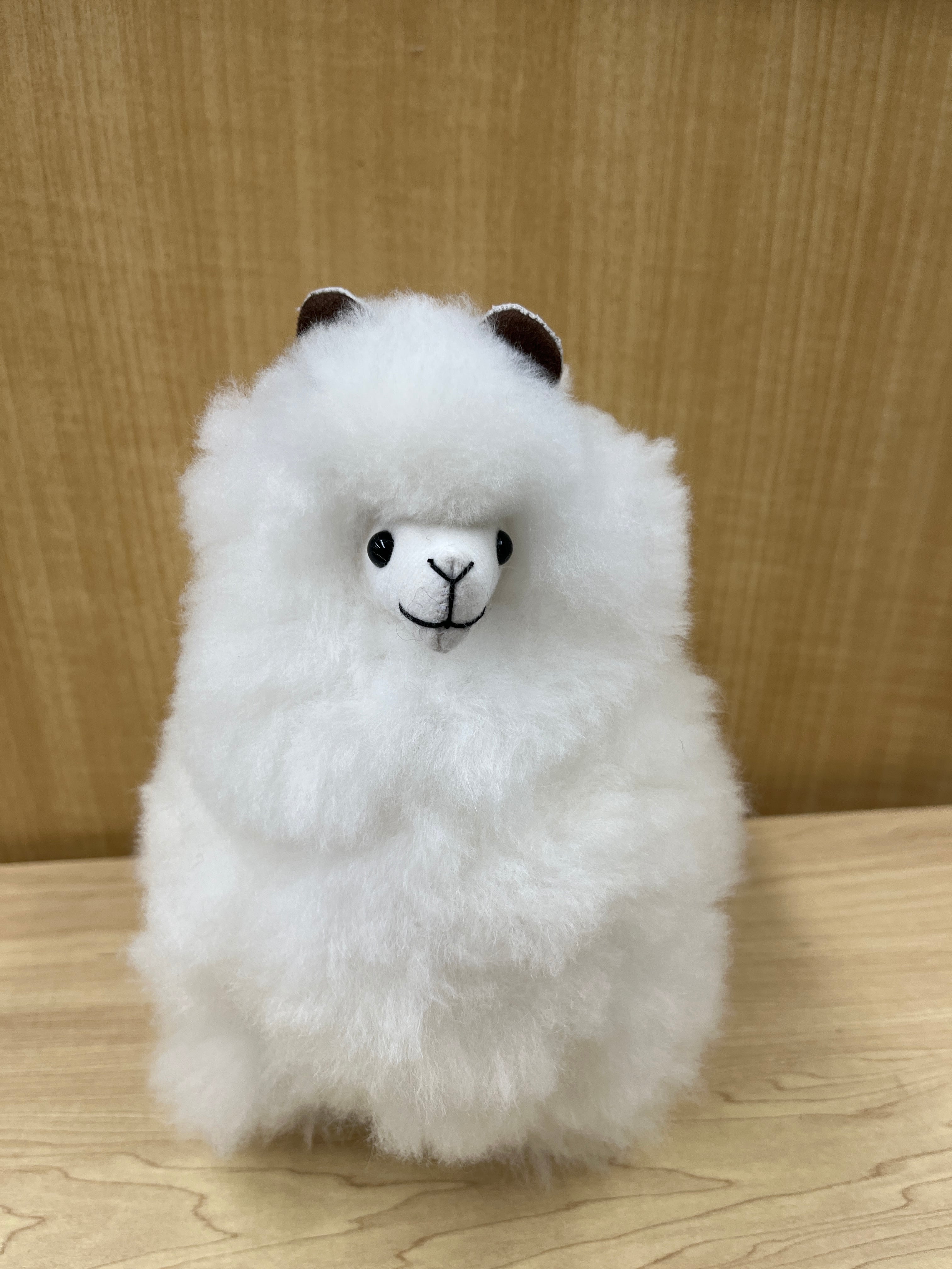カナダ ふわふわベイビーアルパカニットプレゼント♡ カナダ ふわふわベイビーアルパカニットプレゼント♡ 【公式通販】