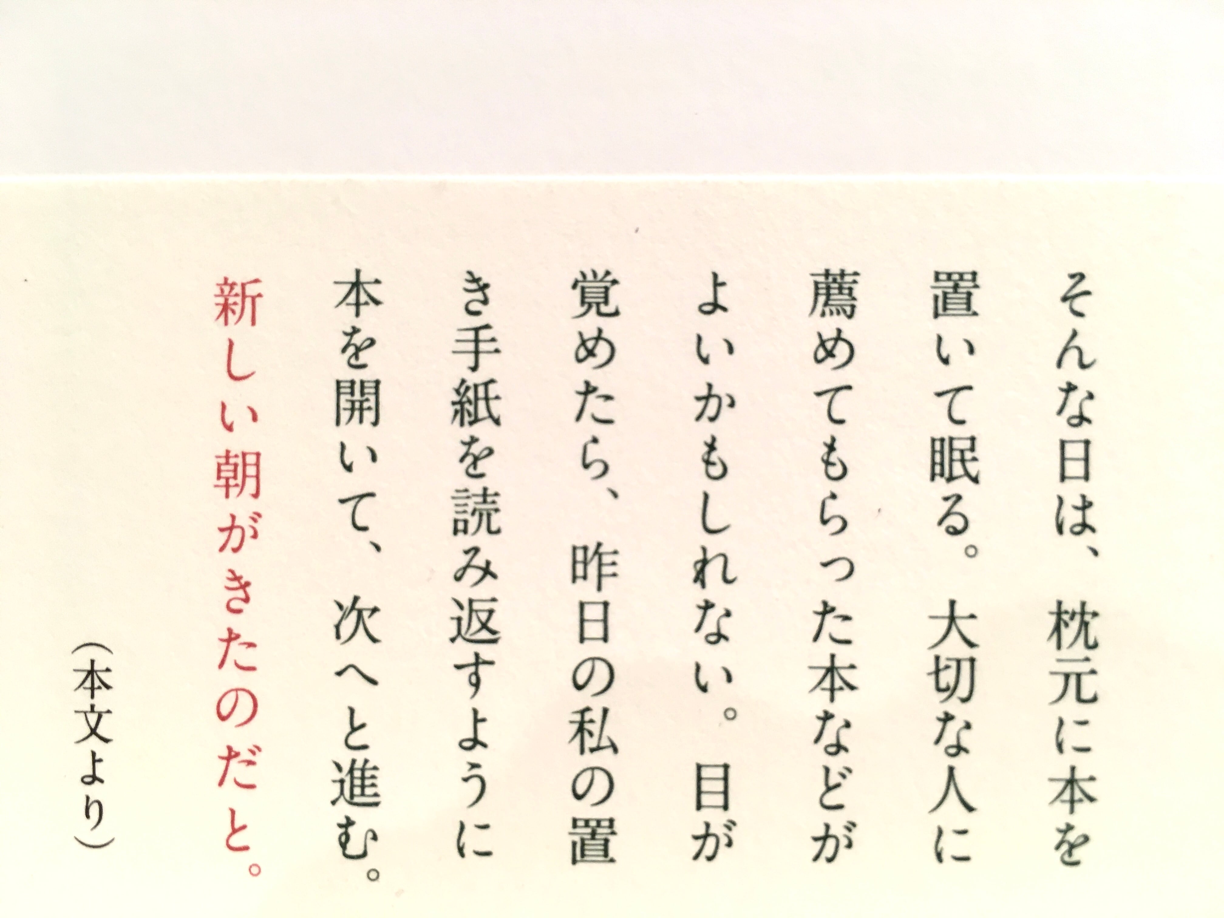 暗がりで本を読む【新本】 | 七月堂古書部